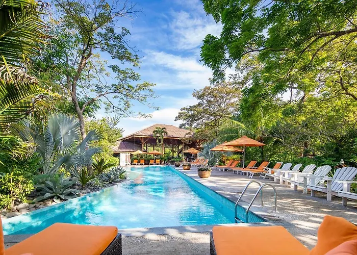 Bodhi Tree Yoga Resort
