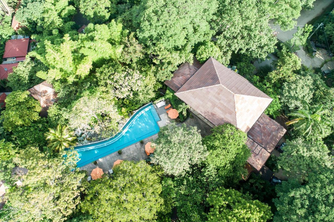 Bodhi Tree Yoga Resort Nosara