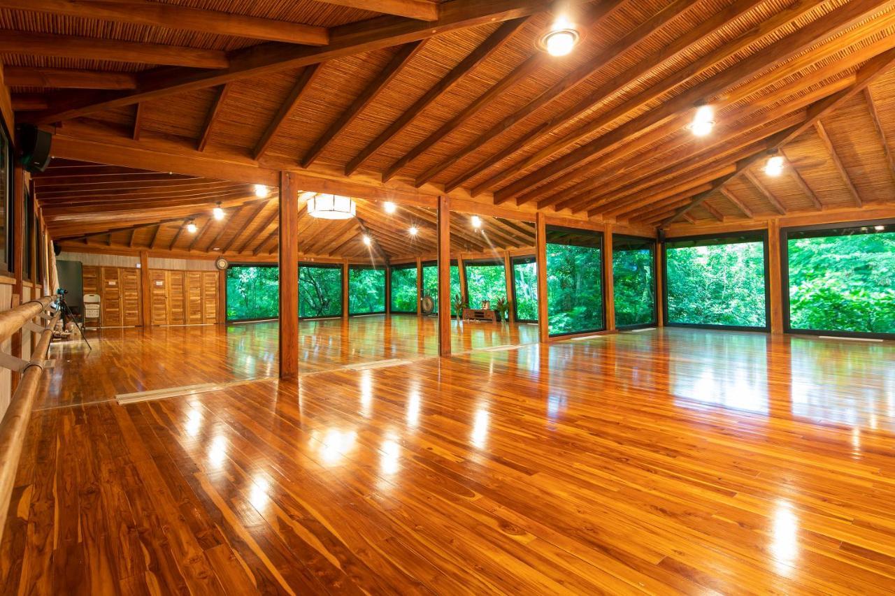 Bodhi Tree Yoga 5*
