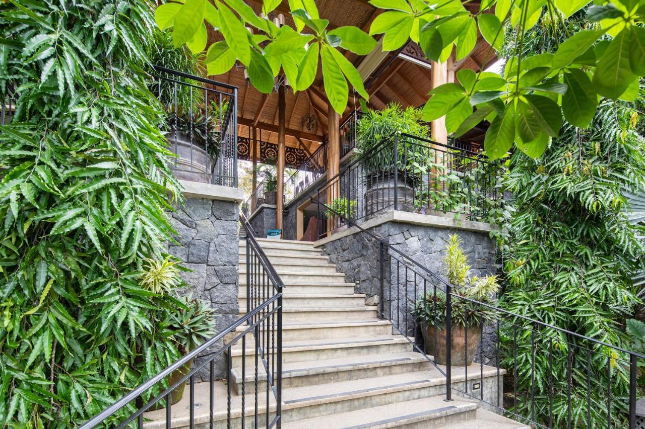 Resort Bodhi Tree Yoga 5*